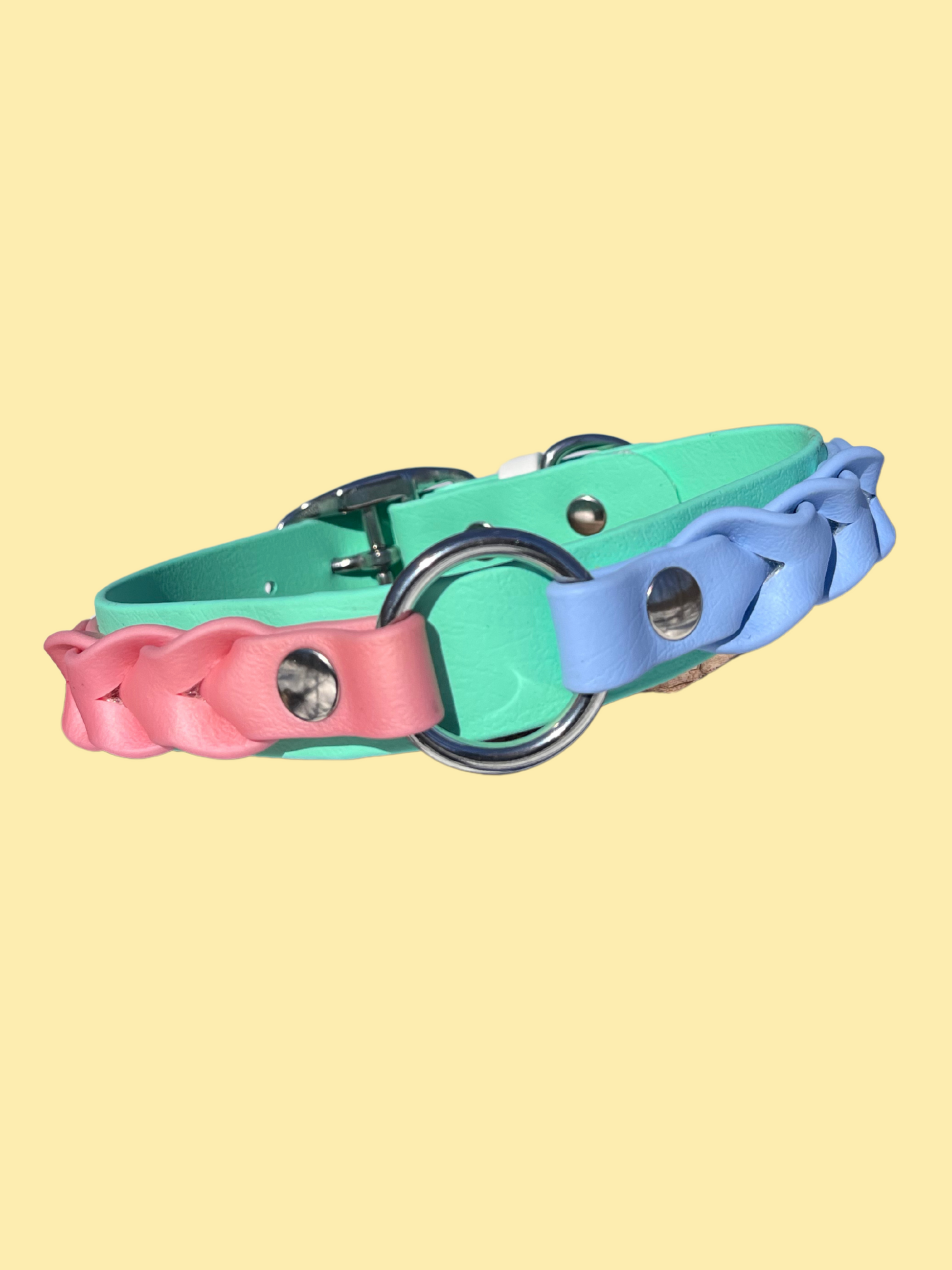 !NOUVEAU! Collier CARTE BLANCHE - ✹Oromë✹ accessoires sur-mesure pour chiens