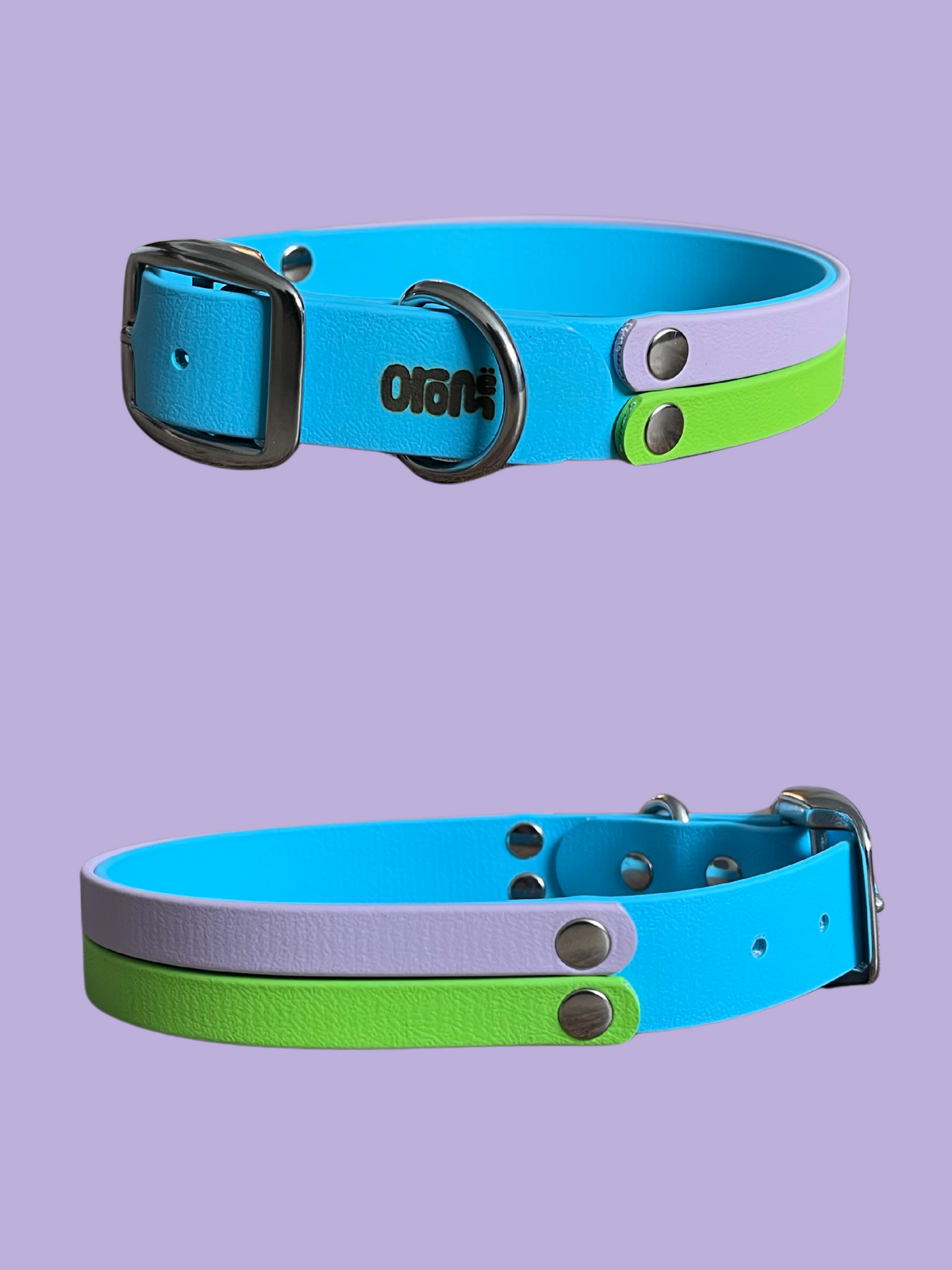 !NOUVEAU! Collier CARTE BLANCHE - ✹Oromë✹ accessoires sur-mesure pour chiens