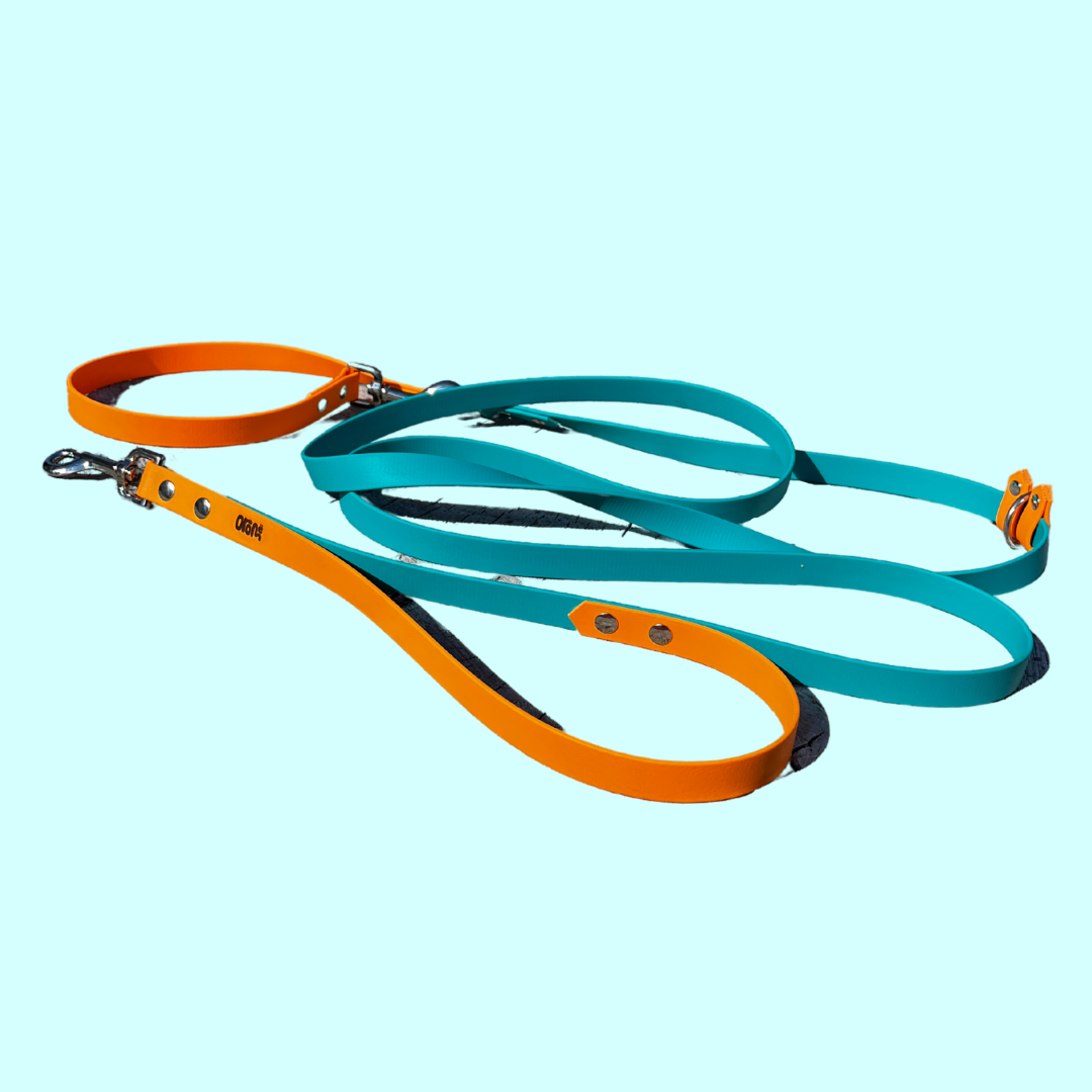 Laisse à personnaliser - ✹Oromë✹ accessoires sur-mesure pour chiens