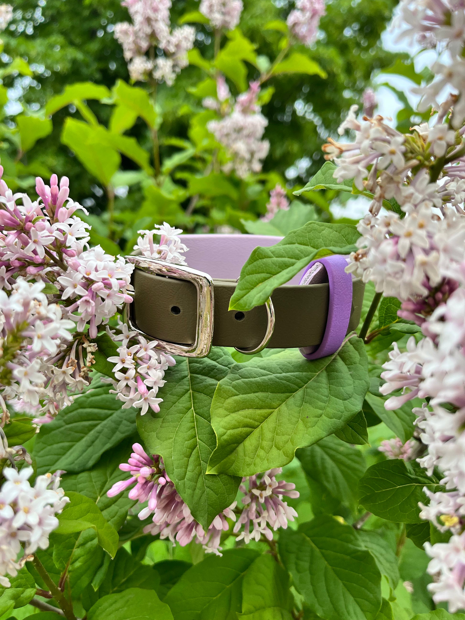ARDA | 10 à 14" | olive et lavande - ✹Oromë✹ accessoires sur-mesure pour chiens