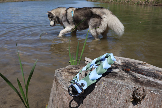 Collier ELDAR - ✹Oromë✹ accessoires sur-mesure pour chiens