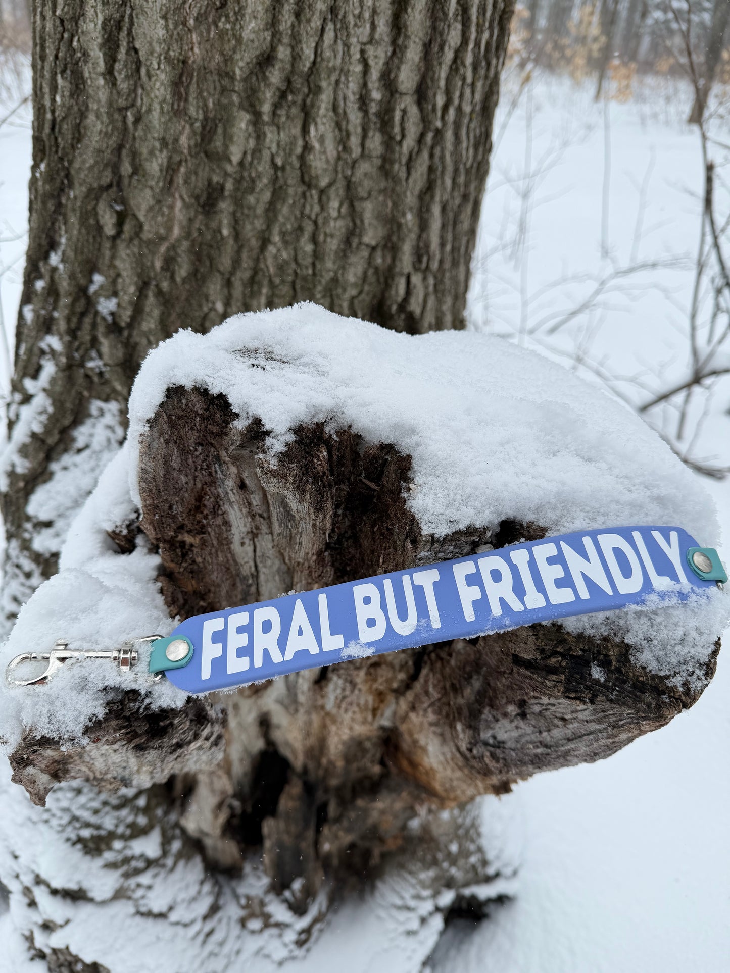 VALARIN (le messager) - ✹Oromë✹ accessoires sur-mesure pour chiens