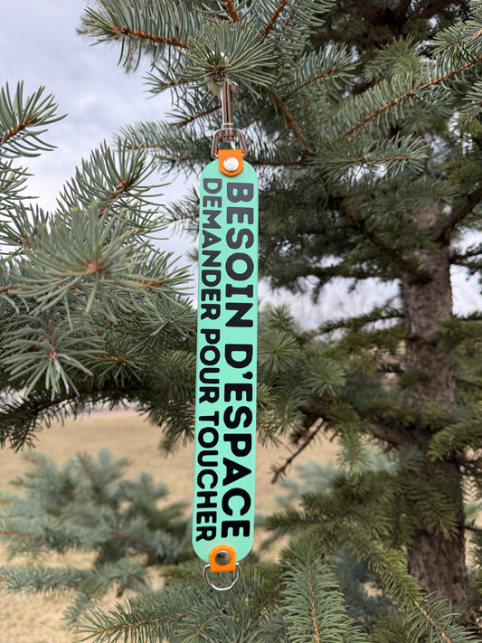 VALARIN (le messager) - ✹Oromë✹ accessoires sur-mesure pour chiens