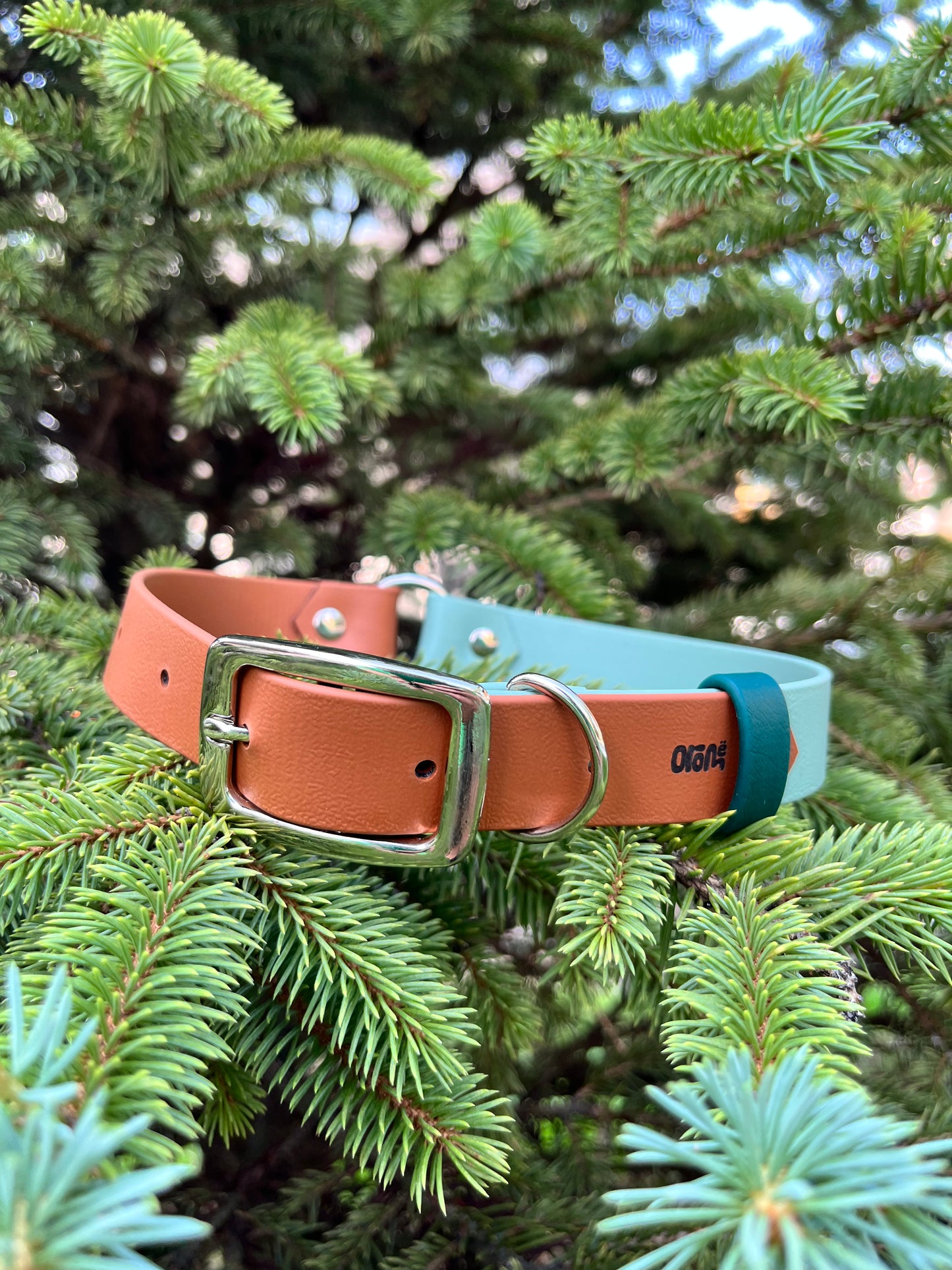 ARATAR | 16 à 21" | tan et sauge - ✹Oromë✹ accessoires sur-mesure pour chiens