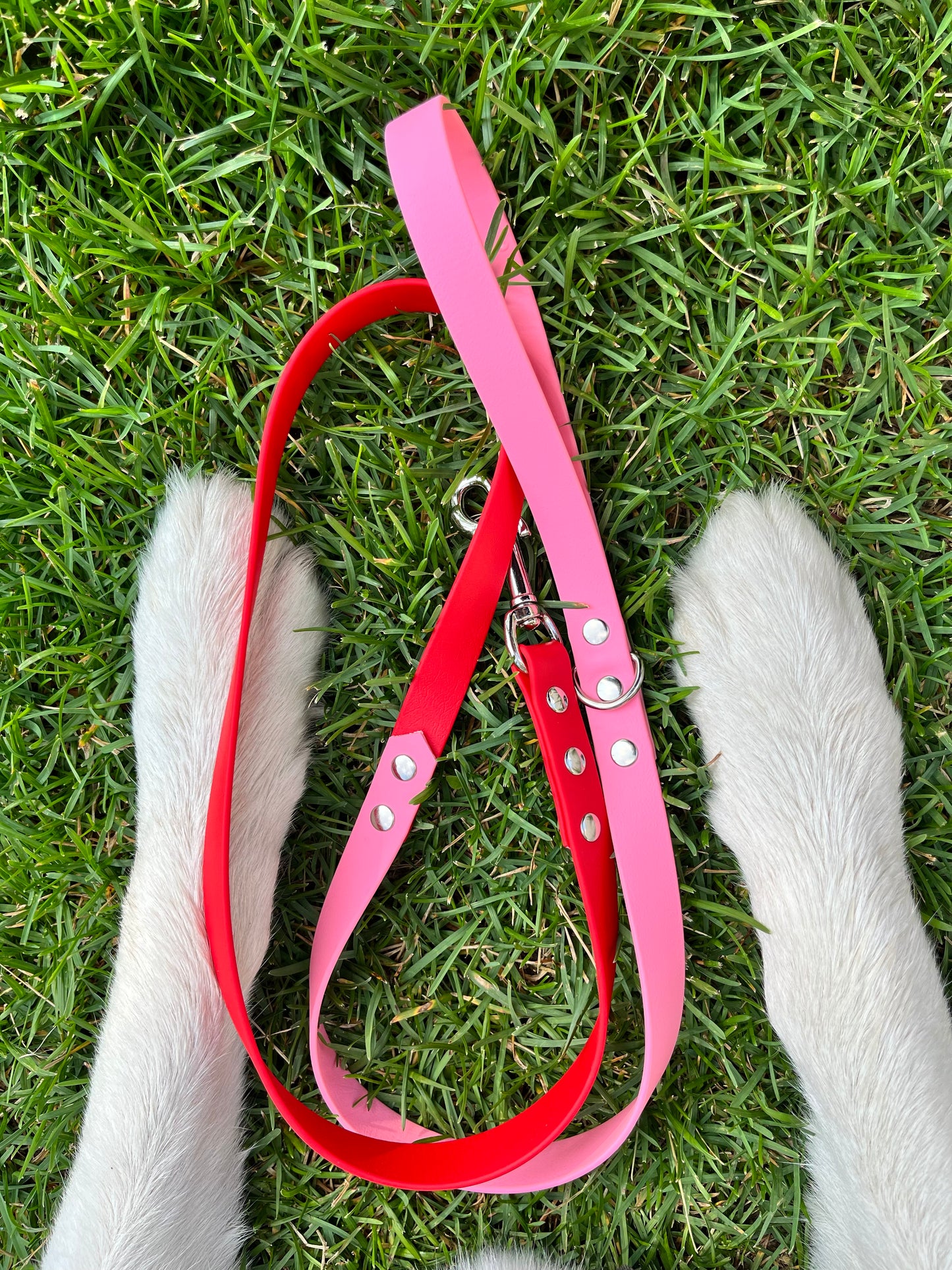 Laisse pour petits chiens et chats - ✹Oromë✹ accessoires sur-mesure pour chiens