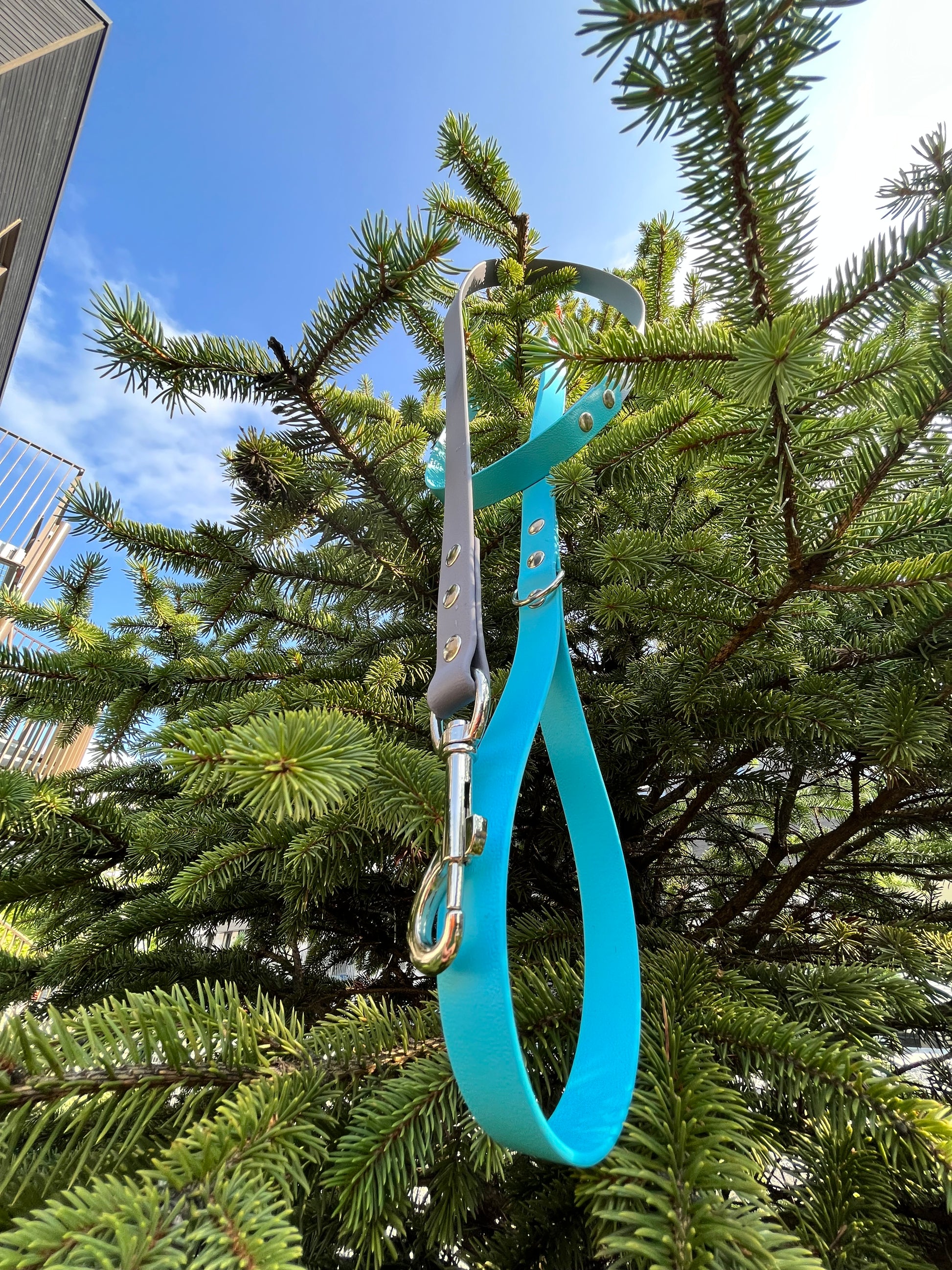 Laisse à personnaliser - ✹Oromë✹ accessoires sur-mesure pour chiens
