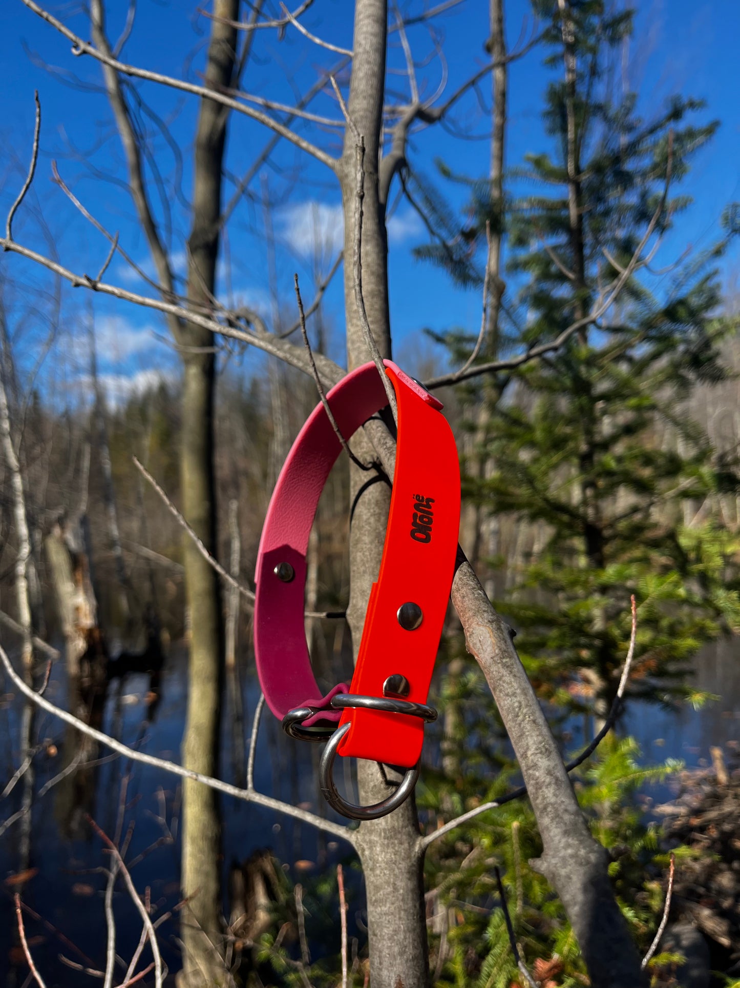 ELDAR | 17" | orange néon, rose pastel et bordeaux - ✹Oromë✹ accessoires sur-mesure pour chiens