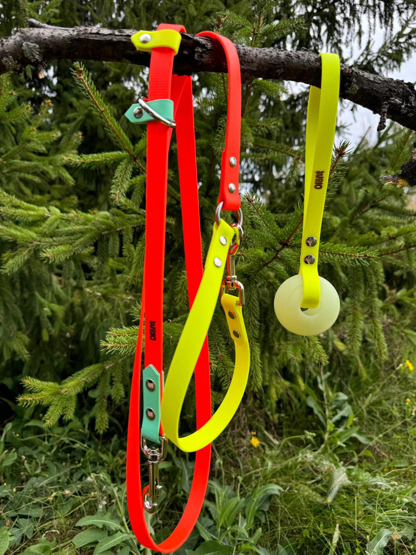 Laisse à personnaliser - ✹Oromë✹ accessoires sur-mesure pour chiens