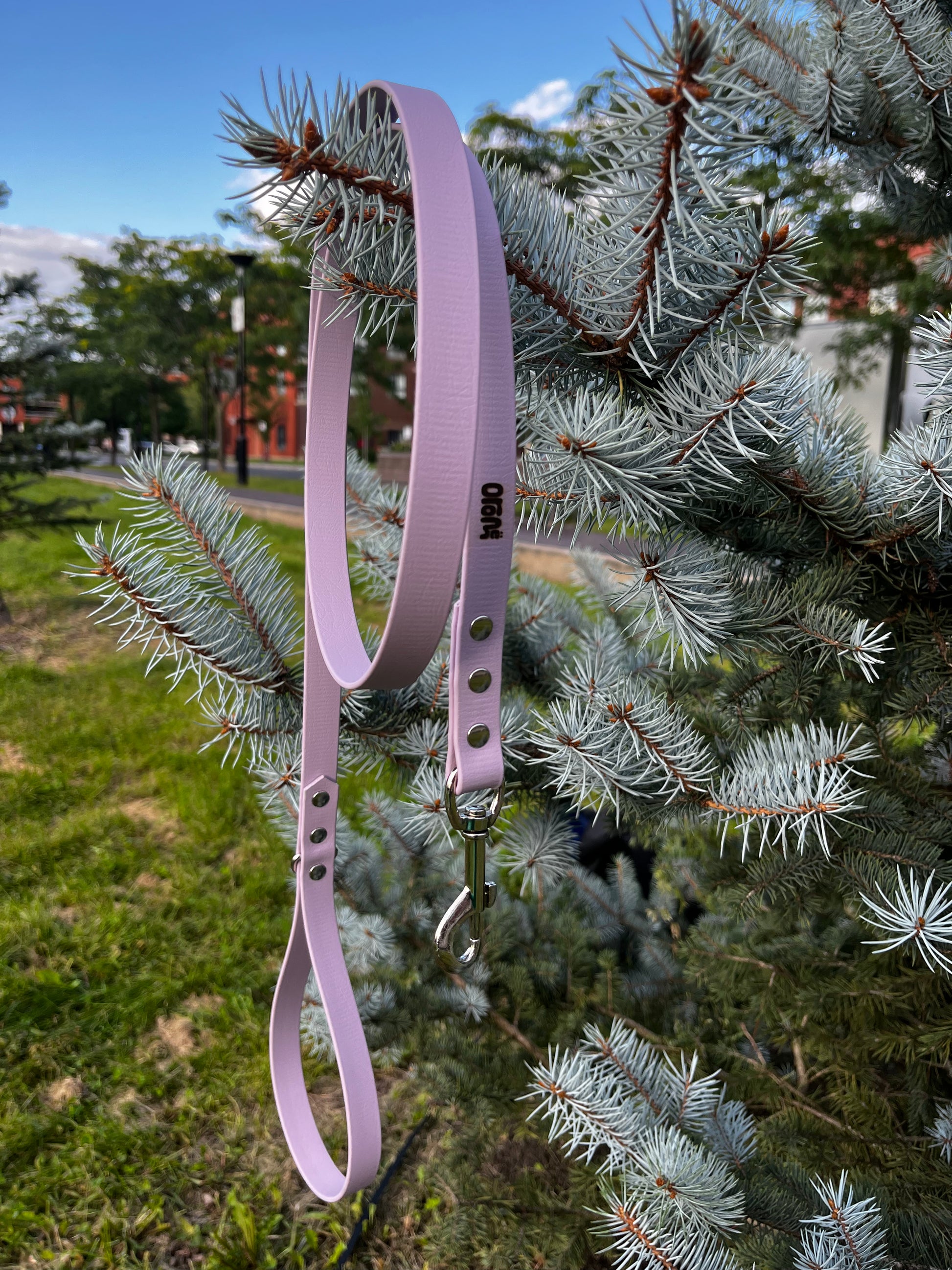 Laisse à personnaliser - ✹Oromë✹ accessoires sur-mesure pour chiens
