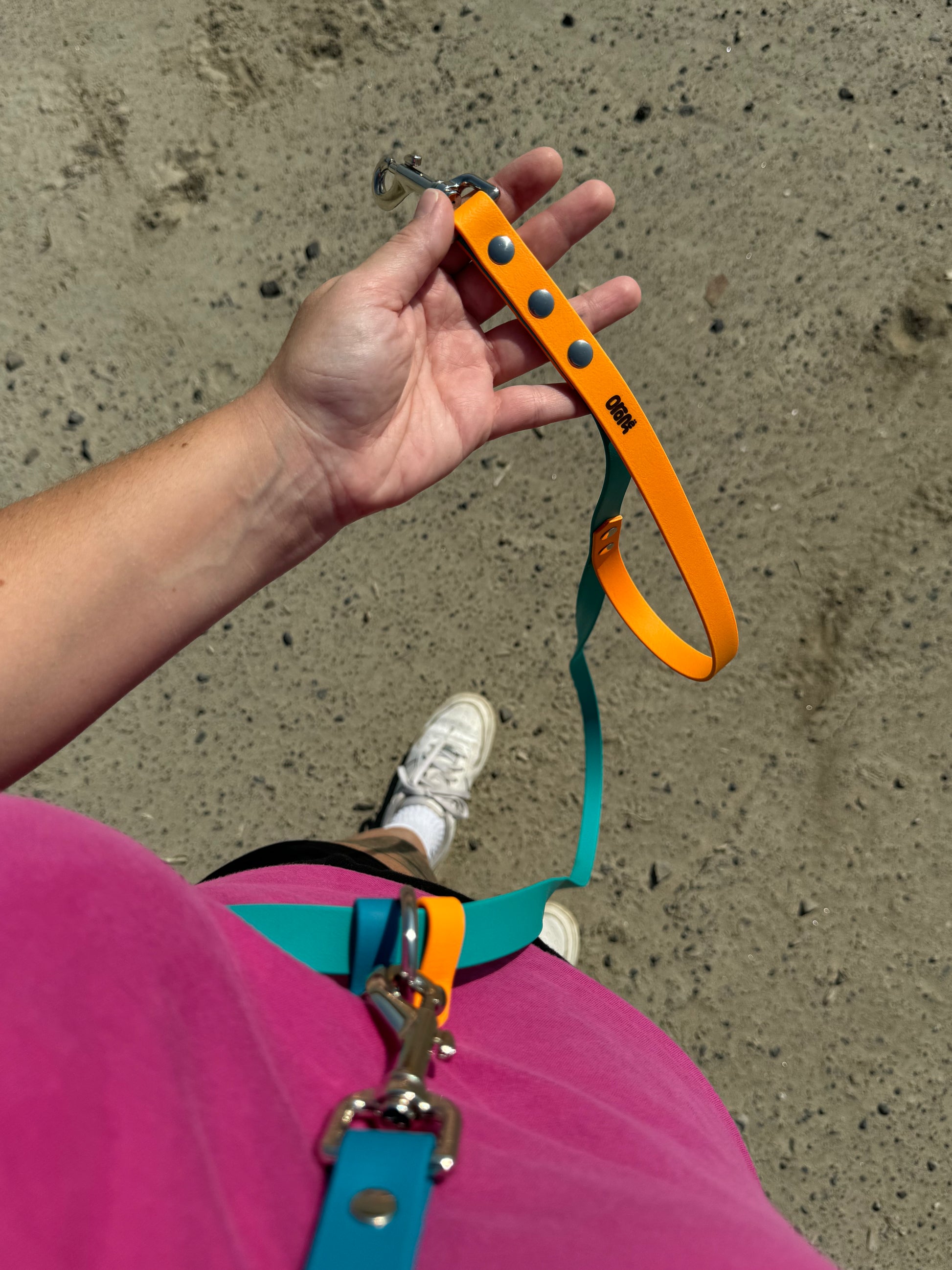 Laisse à personnaliser - ✹Oromë✹ accessoires sur-mesure pour chiens