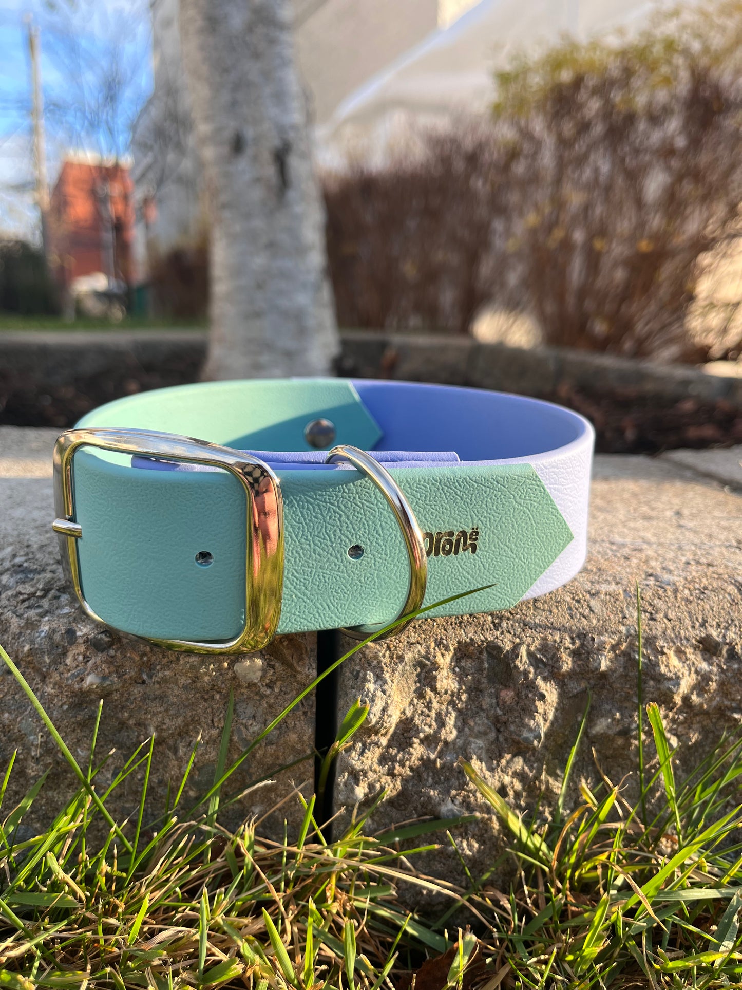 VALAR | 13 à 18" | parme et turquoise - ✹Oromë✹ accessoires sur-mesure pour chiens
