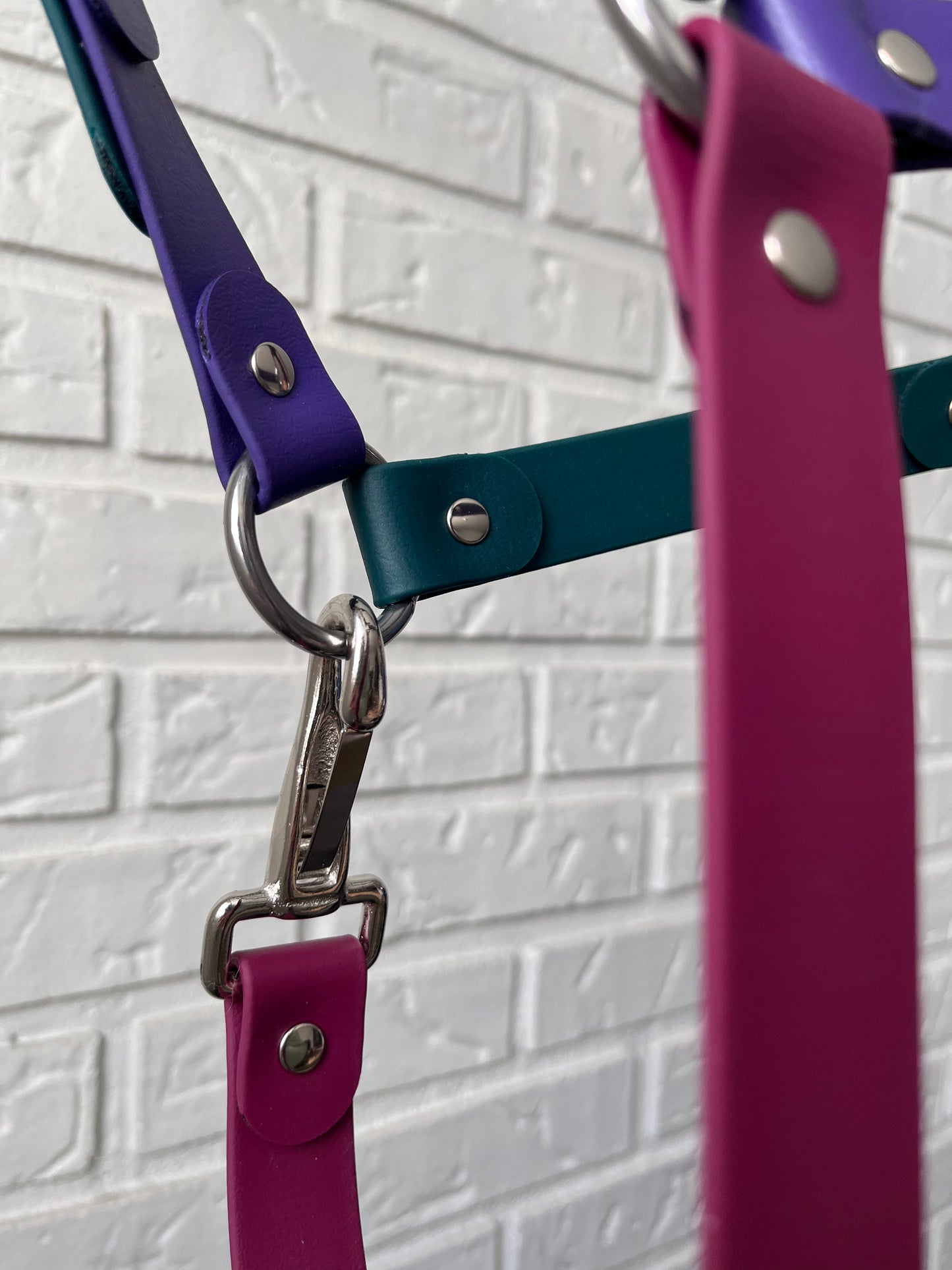 Licol cob | midnight - ✹Oromë✹ accessoires sur-mesure pour chiens