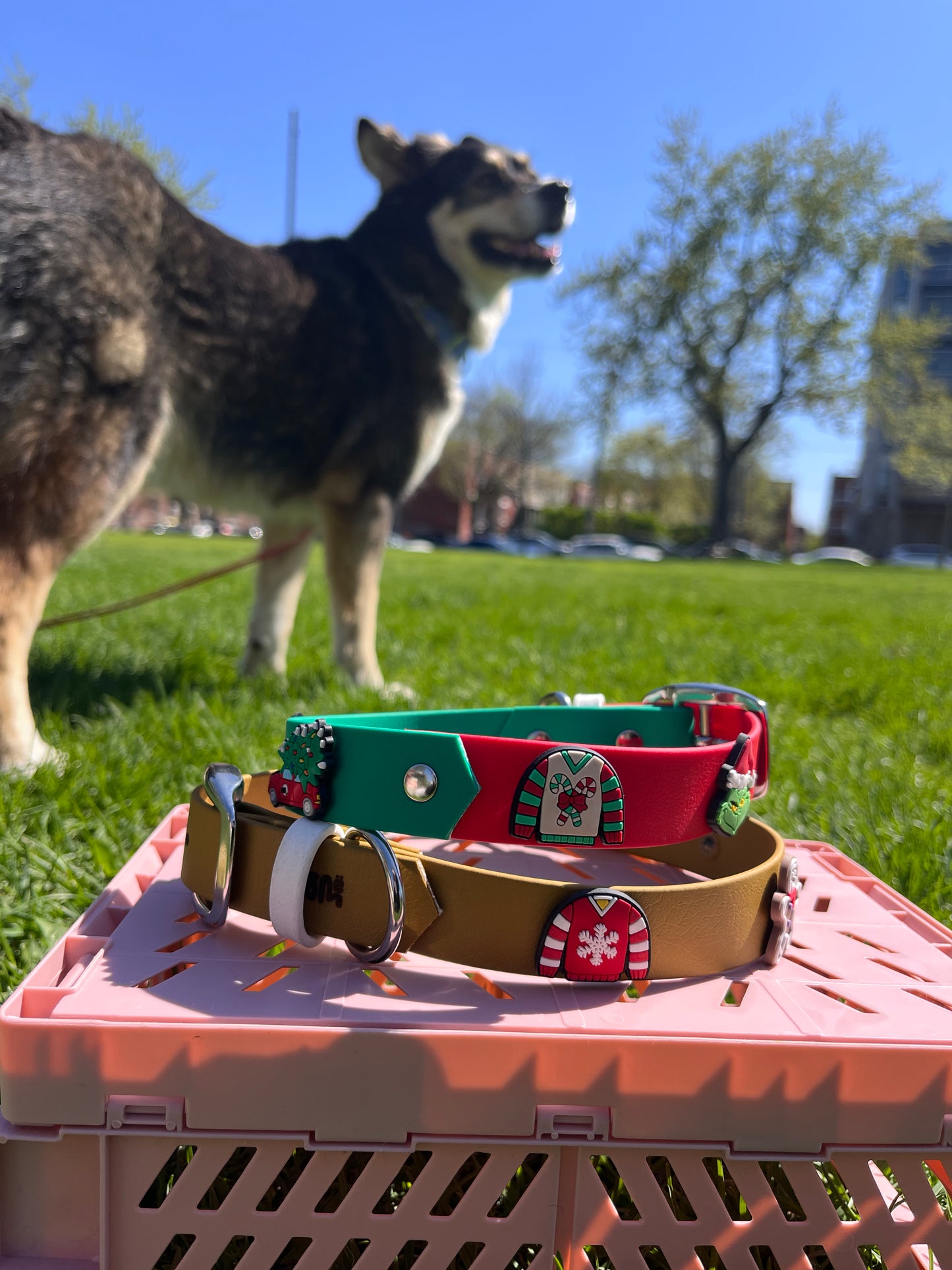 VALAR | 14 à 17" | rouge et vert - ✹Oromë✹ accessoires sur-mesure pour chiens