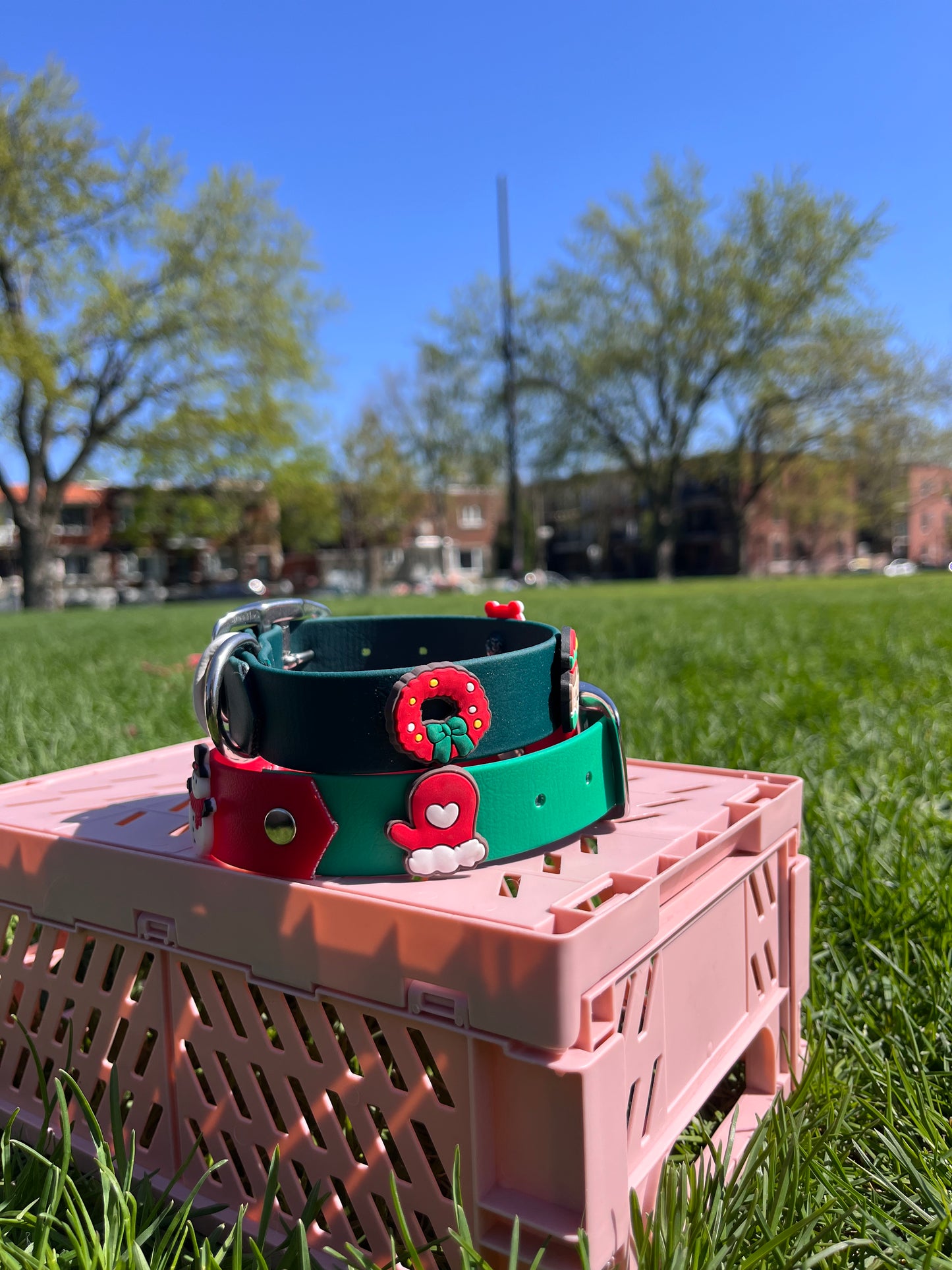 VALAR | 10 à 13" | vert forêt - ✹Oromë✹ accessoires sur-mesure pour chiens