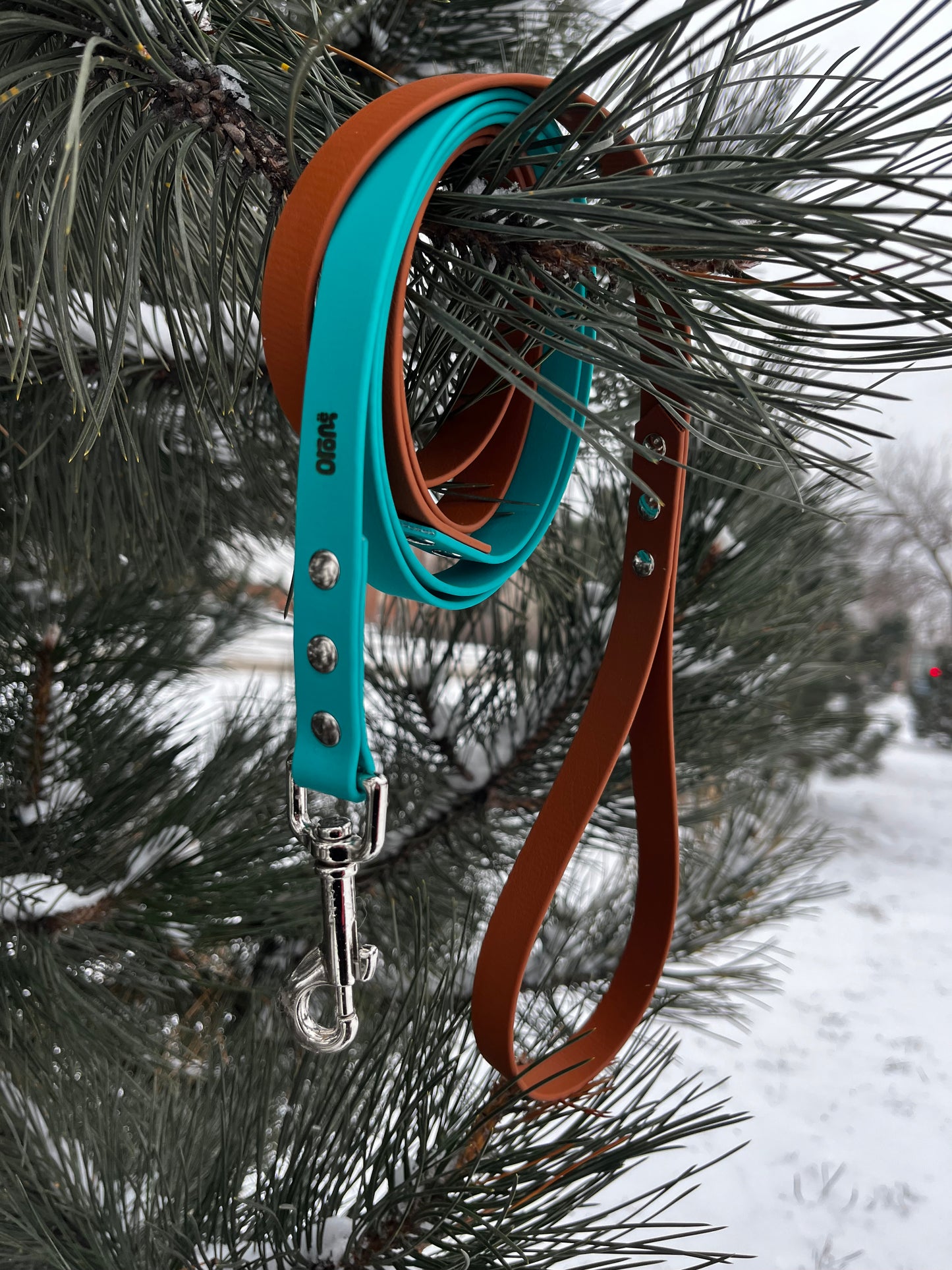 Laisse à personnaliser - ✹Oromë✹ accessoires sur-mesure pour chiens