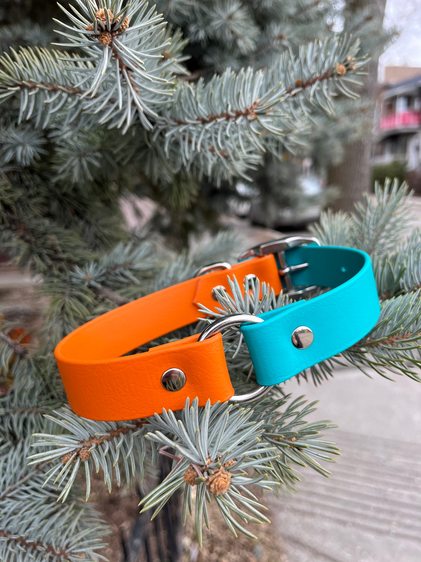 !NOUVEAU! Collier CARTE BLANCHE - ✹Oromë✹ accessoires sur-mesure pour chiens