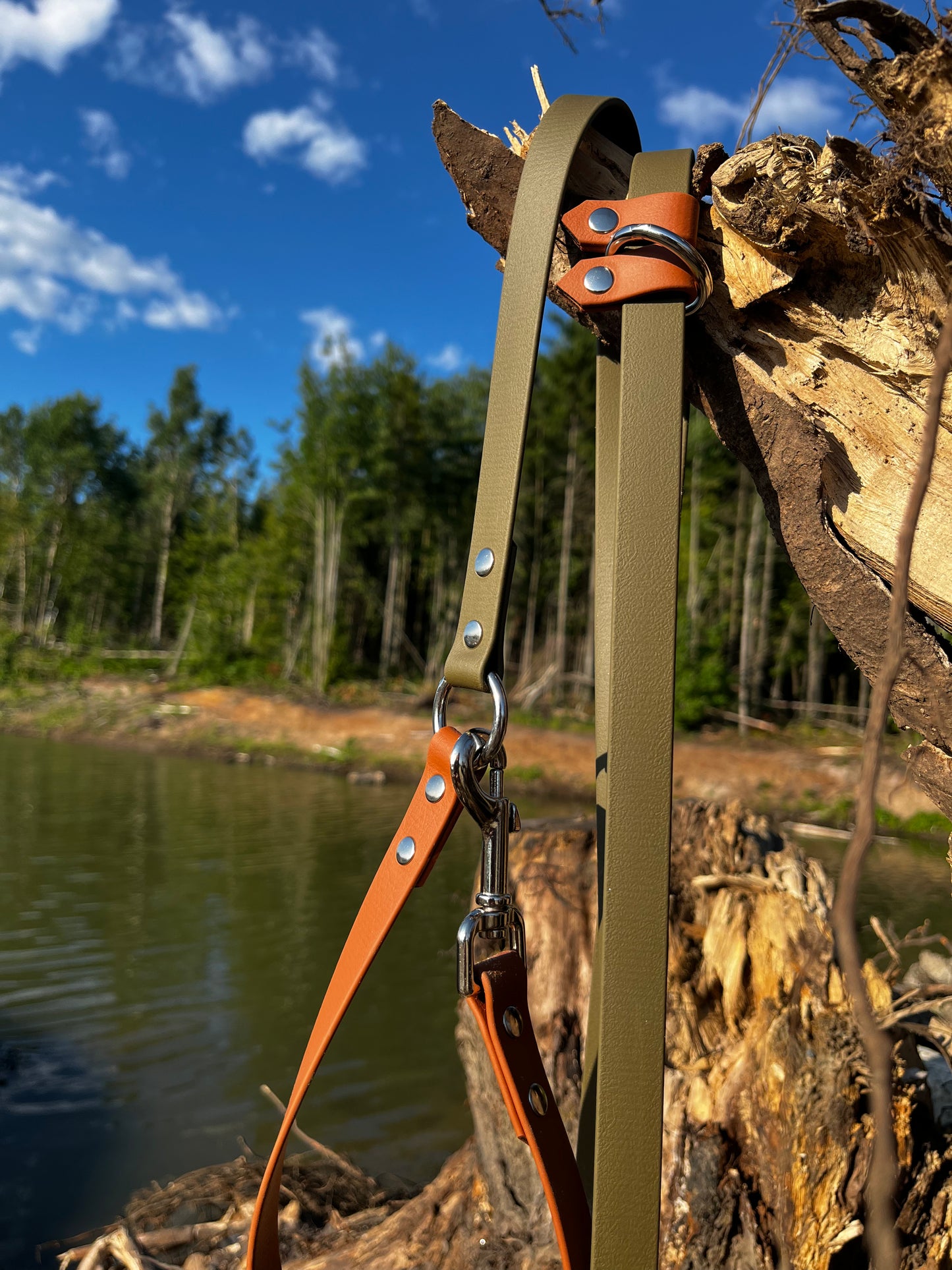 Laisse multiposition 8 pieds | olive et tan - ✹Oromë✹ accessoires sur-mesure pour chiens