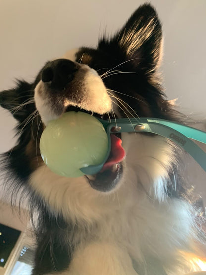 Jouet avec balle - ✹Oromë✹ accessoires sur-mesure pour chiens