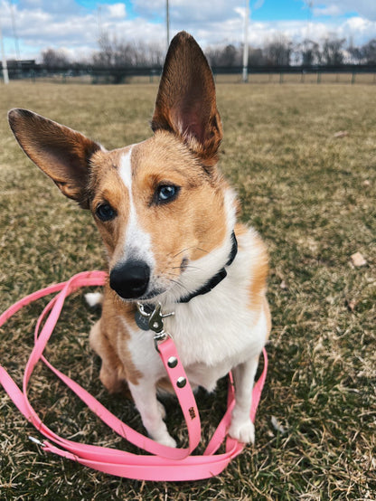 Longe à personnaliser - ✹Oromë✹ accessoires sur-mesure pour chiens