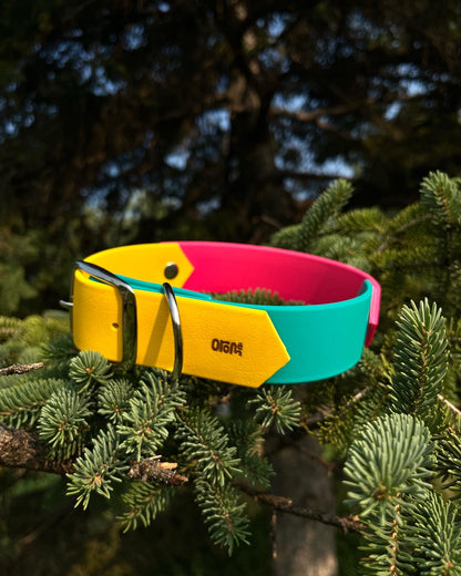 VALAR 1 ½ pouce - ✹Oromë✹ accessoires sur-mesure pour chiens