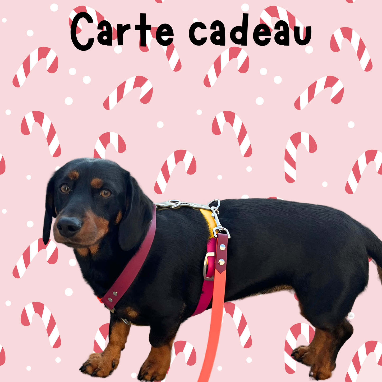 Carte cadeau 🎁 - ✹Oromë✹ accessoires sur-mesure pour chiens