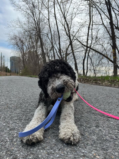 Balle - ✹Oromë✹ accessoires sur-mesure pour chiens