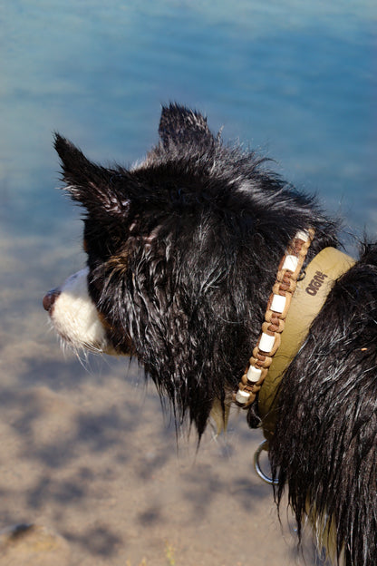 Collier ELDAR - ✹Oromë✹ accessoires sur-mesure pour chiens