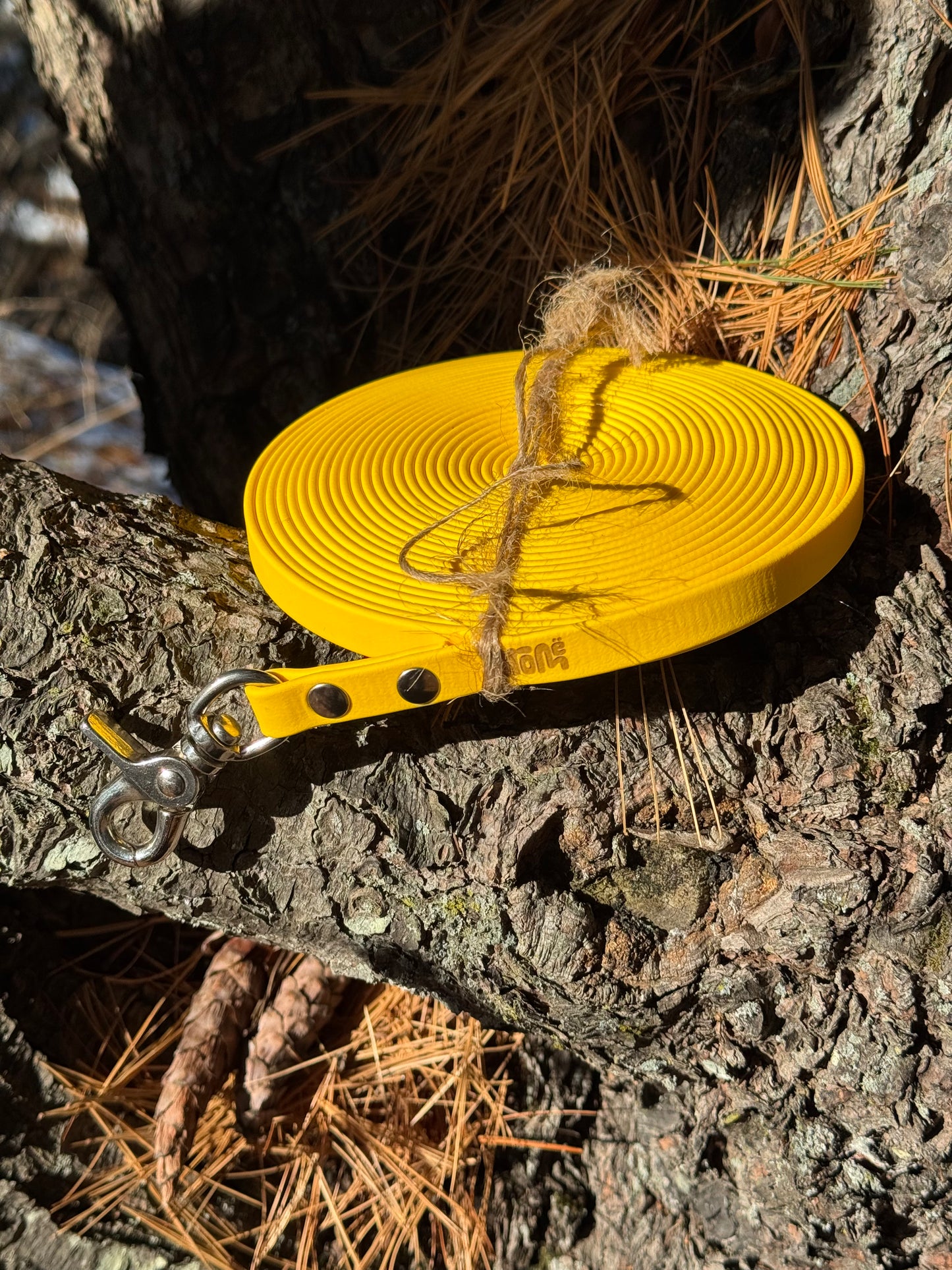 Longe 1/2 | 20 pieds | jaune