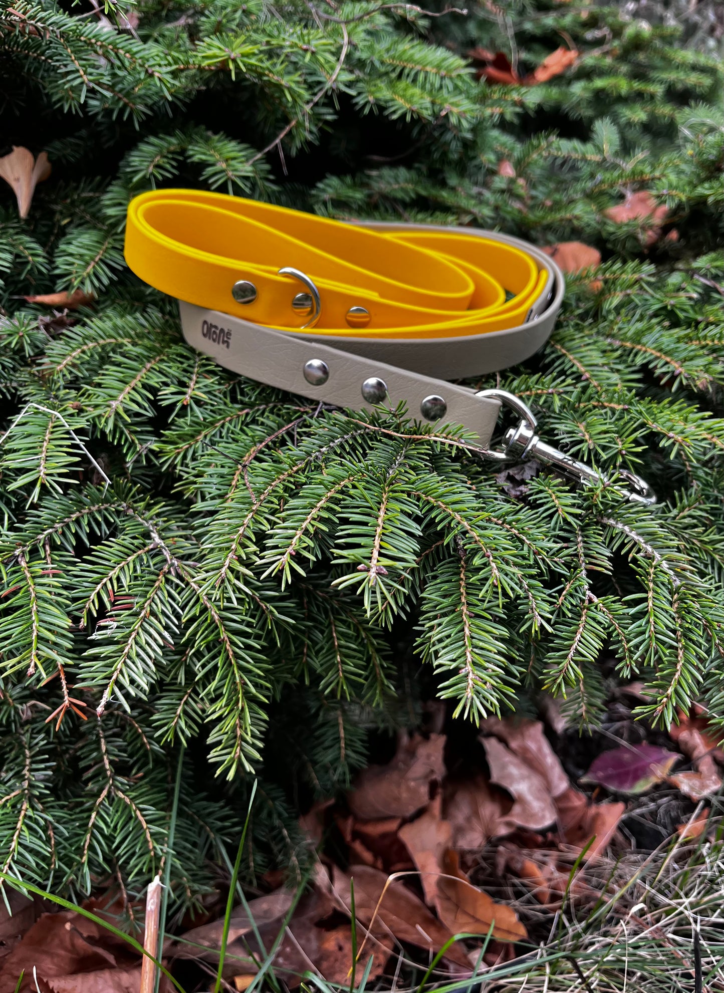 Laisse à personnaliser - ✹Oromë✹ accessoires sur-mesure pour chiens