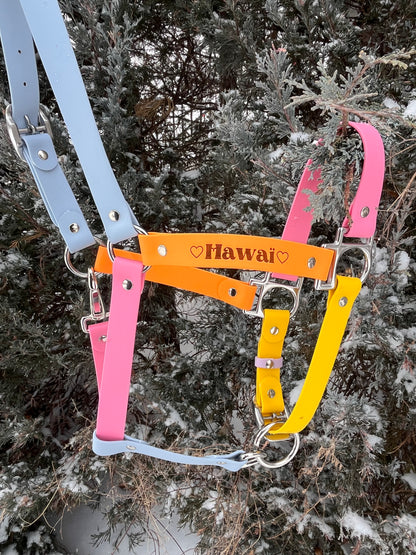 Licol d'équitation 🐎 - ✹Oromë✹ accessoires sur-mesure pour chiens