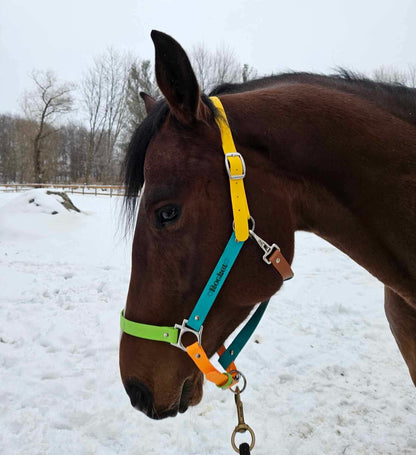 Licol d'équitation 🐎 - ✹Oromë✹ accessoires sur-mesure pour chiens