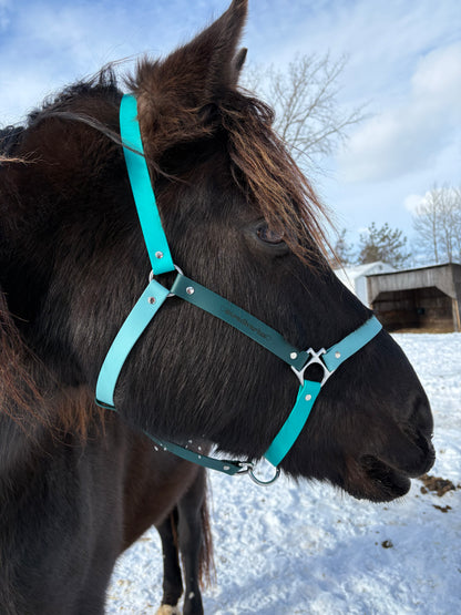 Licol d'équitation 🐎 - ✹Oromë✹ accessoires sur-mesure pour chiens