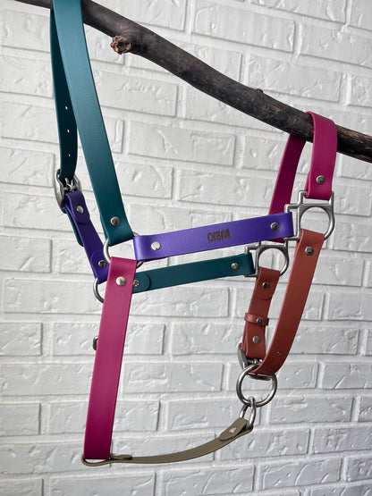 Licol cob | midnight - ✹Oromë✹ accessoires sur-mesure pour chiens
