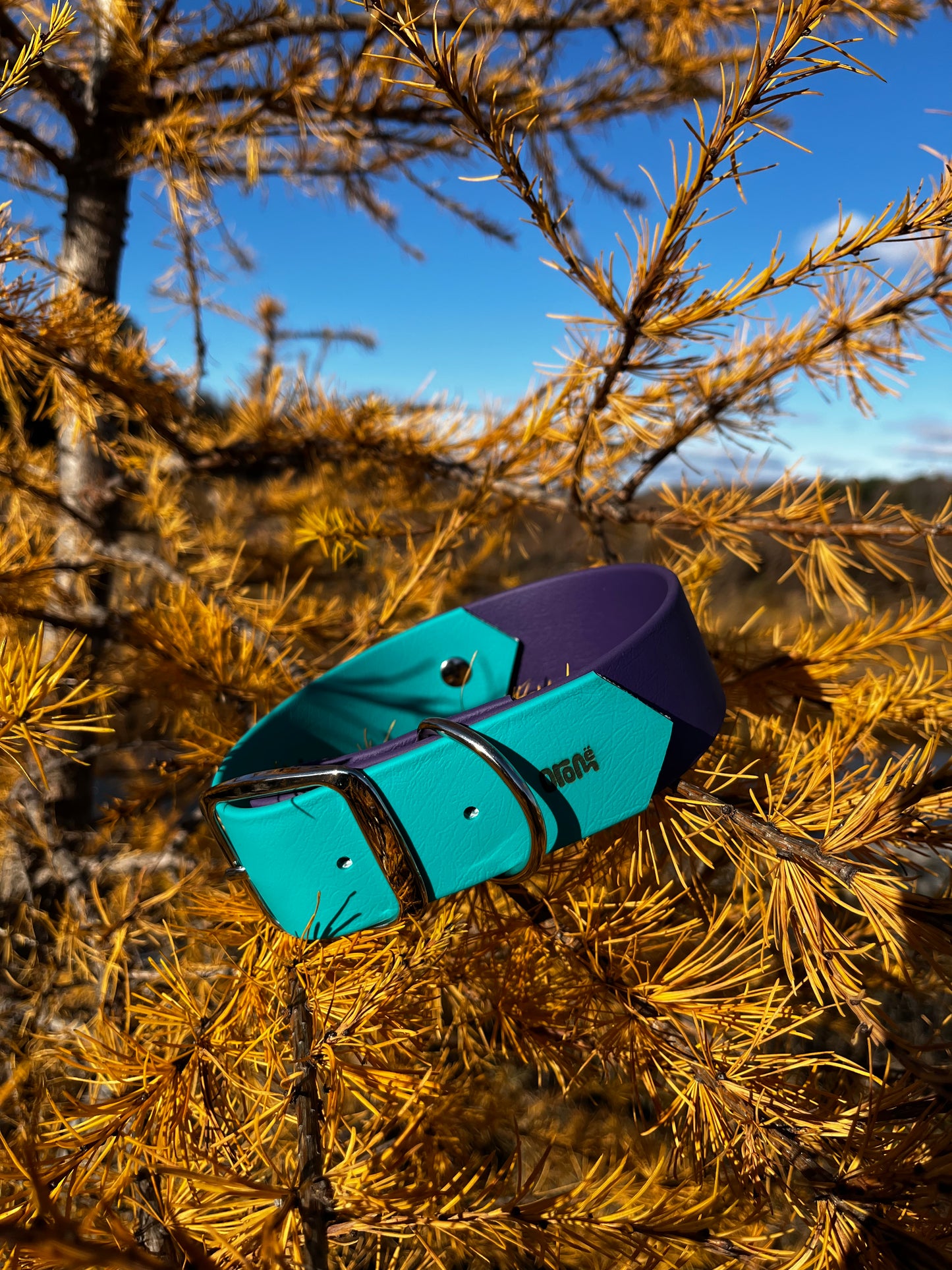 VALAR | 13 à 18" | violet et teal - ✹Oromë✹ accessoires sur-mesure pour chiens