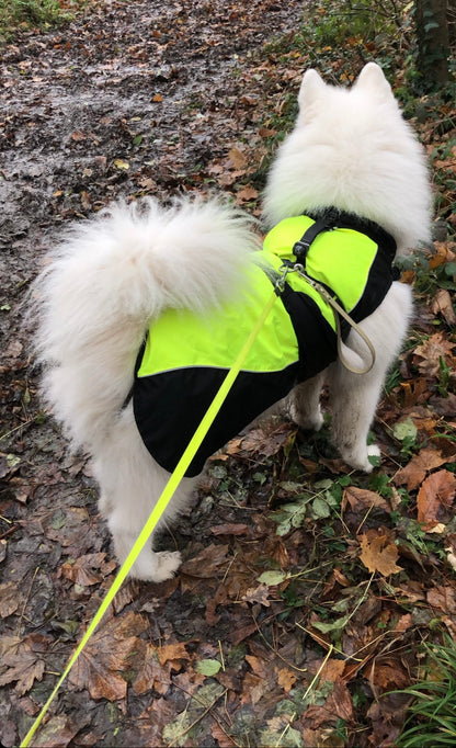 Poignée 2-en-1 - ✹Oromë✹ accessoires sur-mesure pour chiens