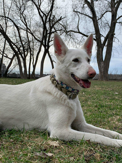 Collier ELDAR - ✹Oromë✹ accessoires sur-mesure pour chiens