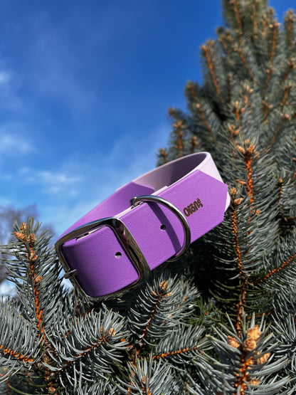 VALAR 1 ½ pouce - ✹Oromë✹ accessoires sur-mesure pour chiens