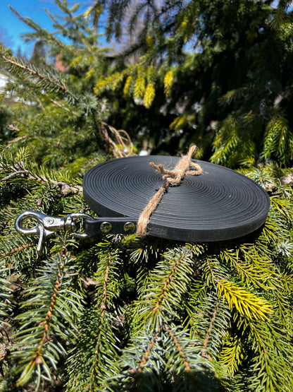 Longe 1/2 pouce | 36 pieds | noir - ✹Oromë✹ accessoires sur-mesure pour chiens