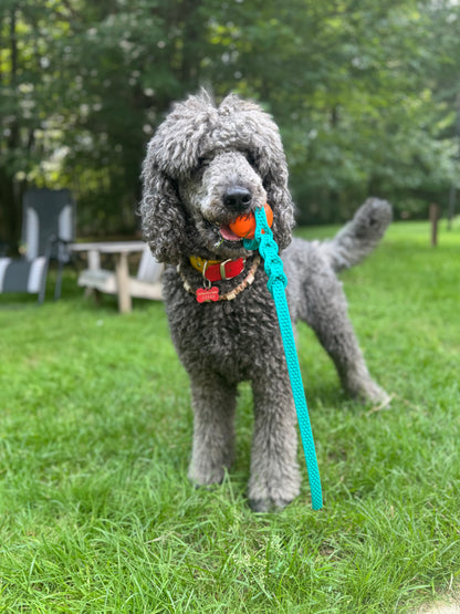 Jouet avec balle - ✹Oromë✹ accessoires sur-mesure pour chiens