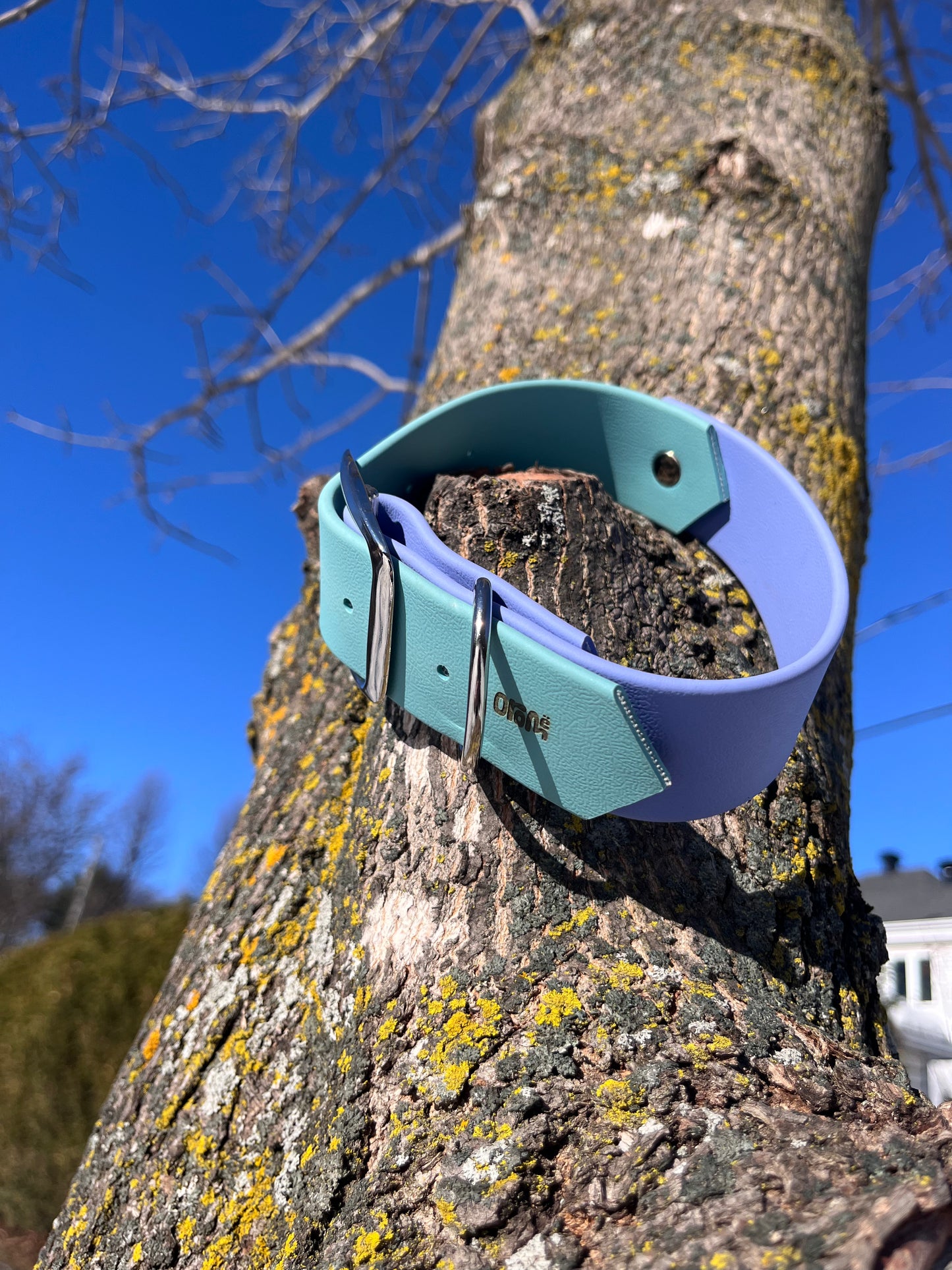 Collier VALAR | 13 à 18" | turquoise et parme