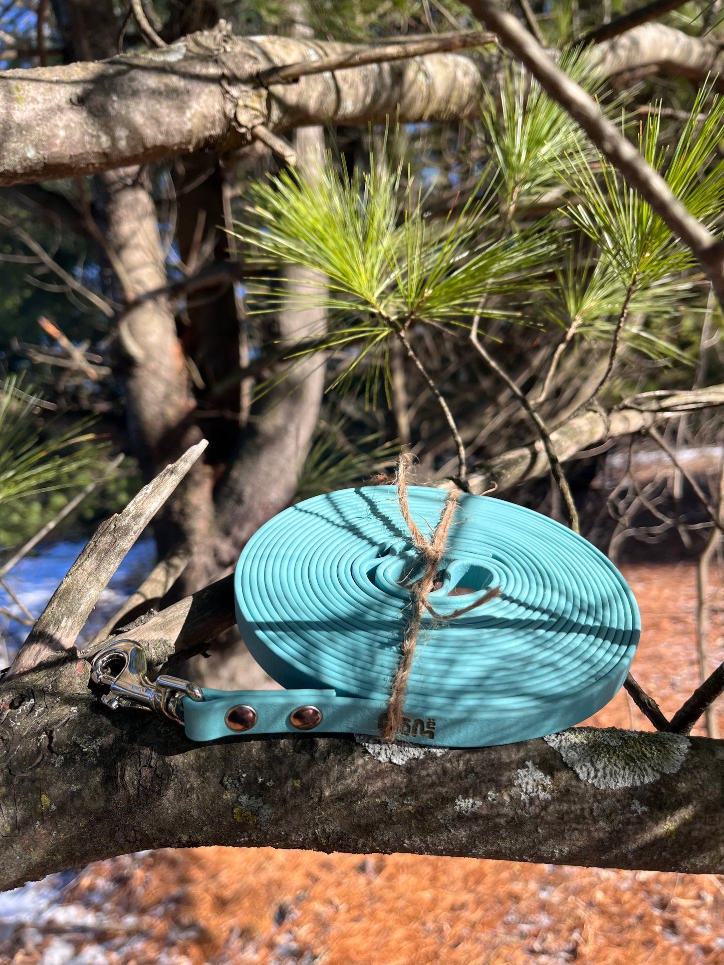 Longe 1/2 | 17 pieds | turquoise