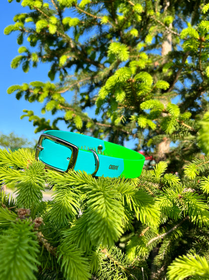 VALAR - ✹Oromë✹ accessoires sur-mesure pour chiens