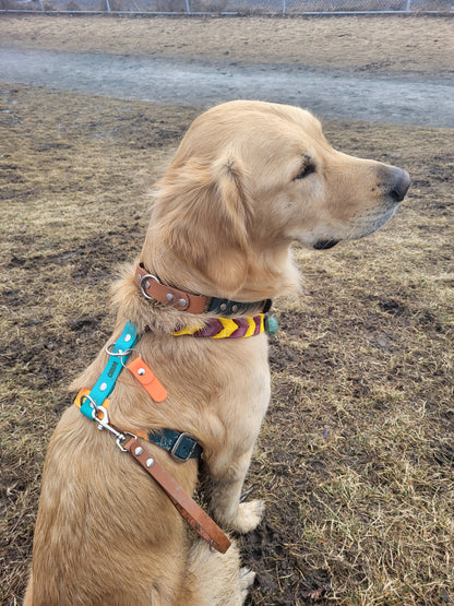 Harnais sur-mesure - ✹Oromë✹ accessoires sur-mesure pour chiens