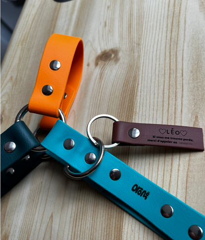 Médaille gravée - ✹Oromë✹ accessoires sur-mesure pour chiens