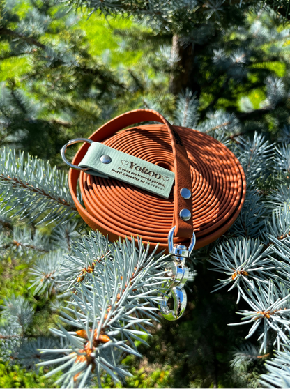 Médaille gravée - ✹Oromë✹ accessoires sur-mesure pour chiens